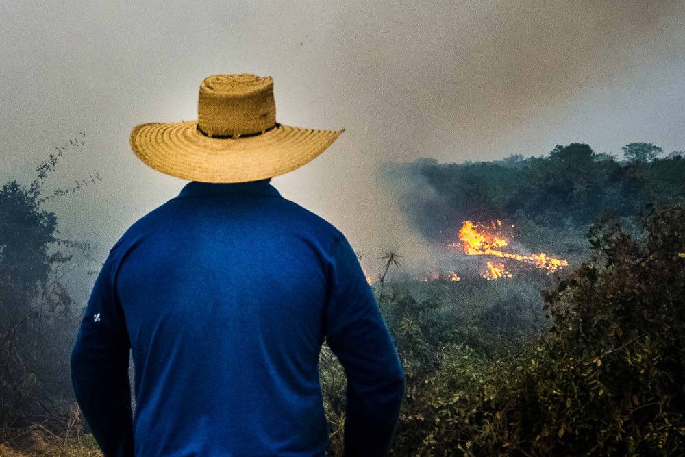 Ein Mann mit Stohhut, Rücken zur Kamera, vor ihm brennt der Wald