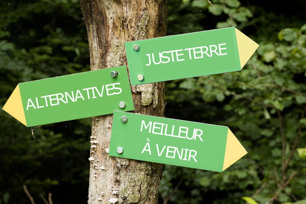Drei an einen Baum genagelte Wegweiserschilder: Juste Terre, Alternatives, Meilleur à venir